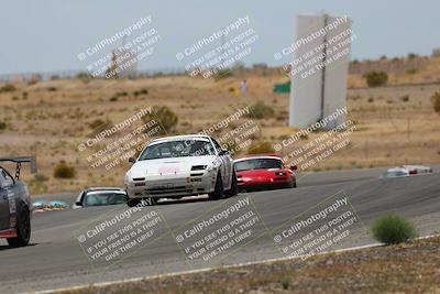 media/May-03-2025-Lucky Dog Racing (Sat) [[206de64b9d]]/Turn 6 (150pm-230pm)/